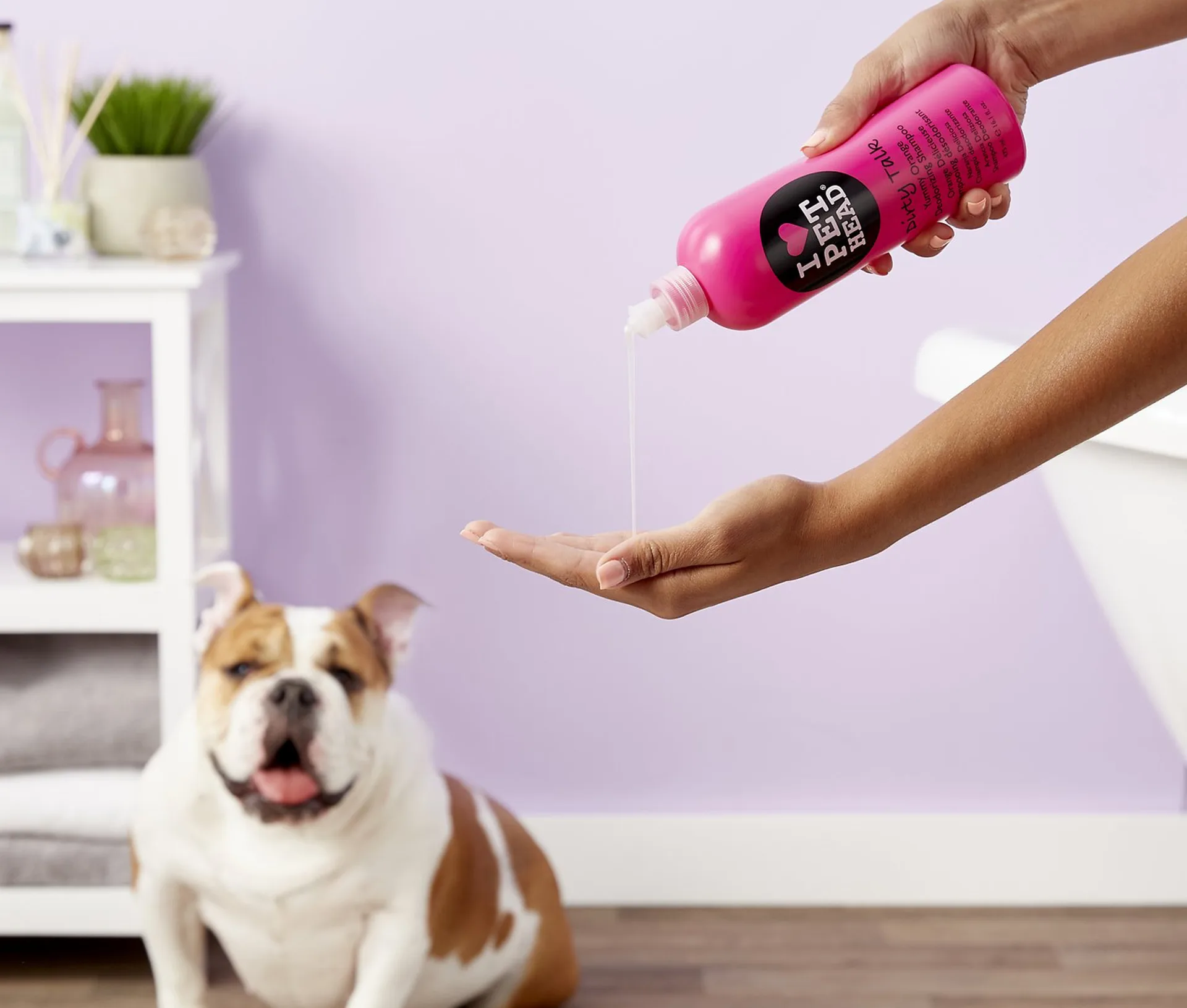 Pet Head Dirty Talk Dry Shampoo Spray for Dogs 6.3oz image 3