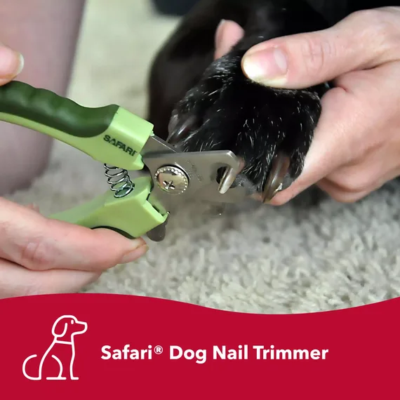 Safari Professional Stainless Steel Pet Nail Trimmer