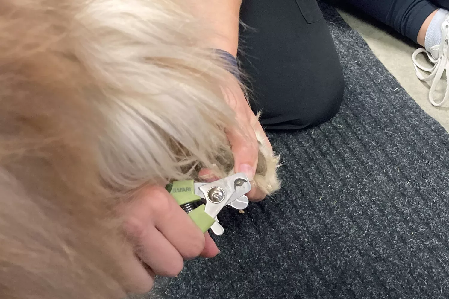 Safari Professional Stainless Steel Pet Nail Trimmer image 2